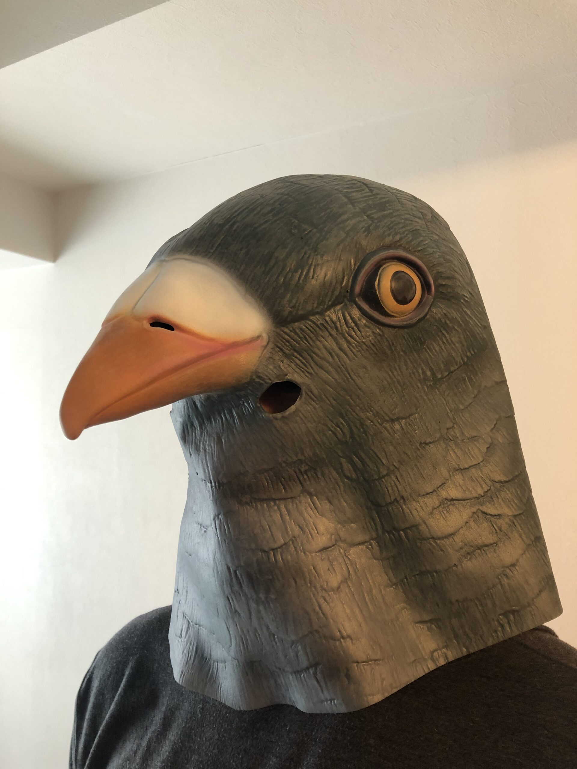 山崎とよこの